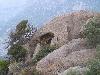'Ikaria_2008' - '2008_landscapes' - 'P7040368'