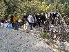 'Ikaria_2007' - '2007_theoktisti' - 'P4120054'